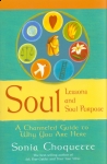 SOUL LESSONS & SOUL PURPOSE : A Chanelled Guide To Why You Are Here